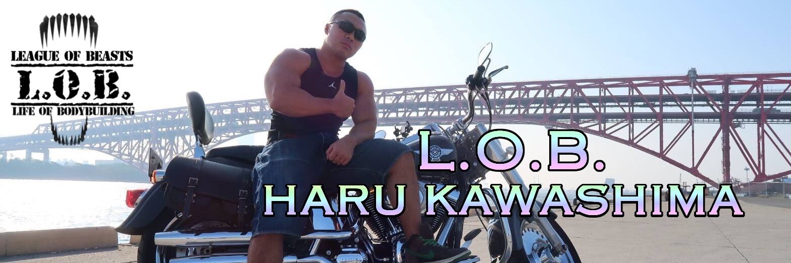 universalharu's profile banner image