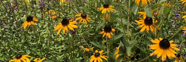 melwlkr2000 Profile Banner