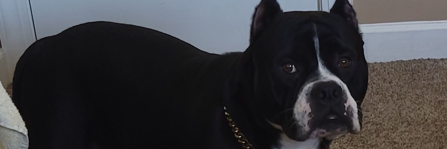 Benzo_Rachi's profile banner image