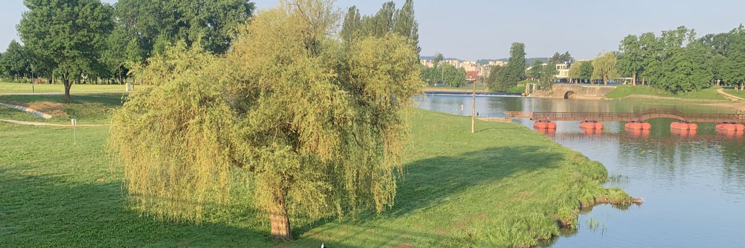 Ana Todorcevska banner