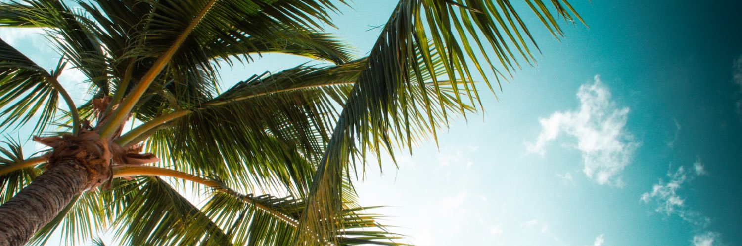 Elle Russ banner