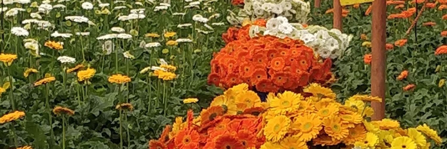 KondePrashant's profile banner image