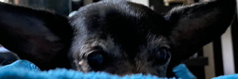 DbeezNeez's profile banner image