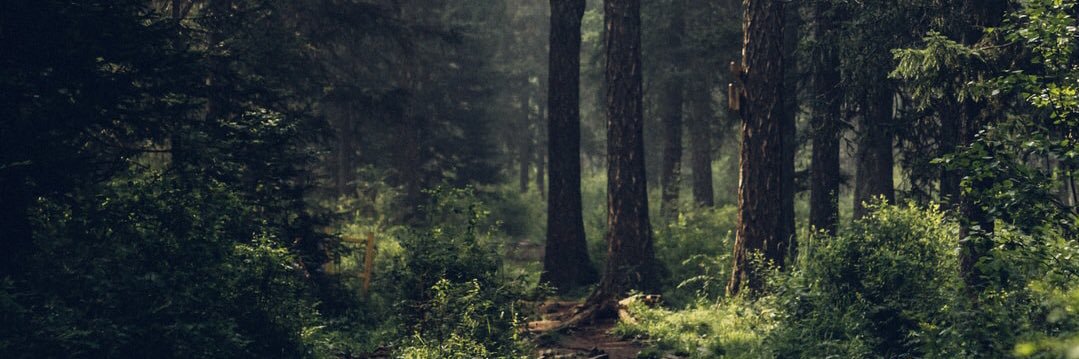 _b_munoz's profile banner image