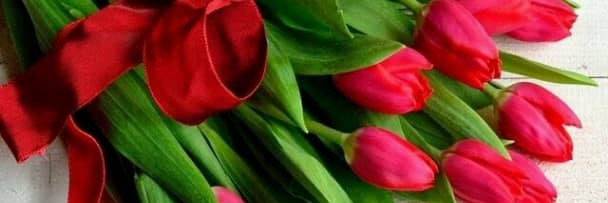 RashaRedflower's profile banner image