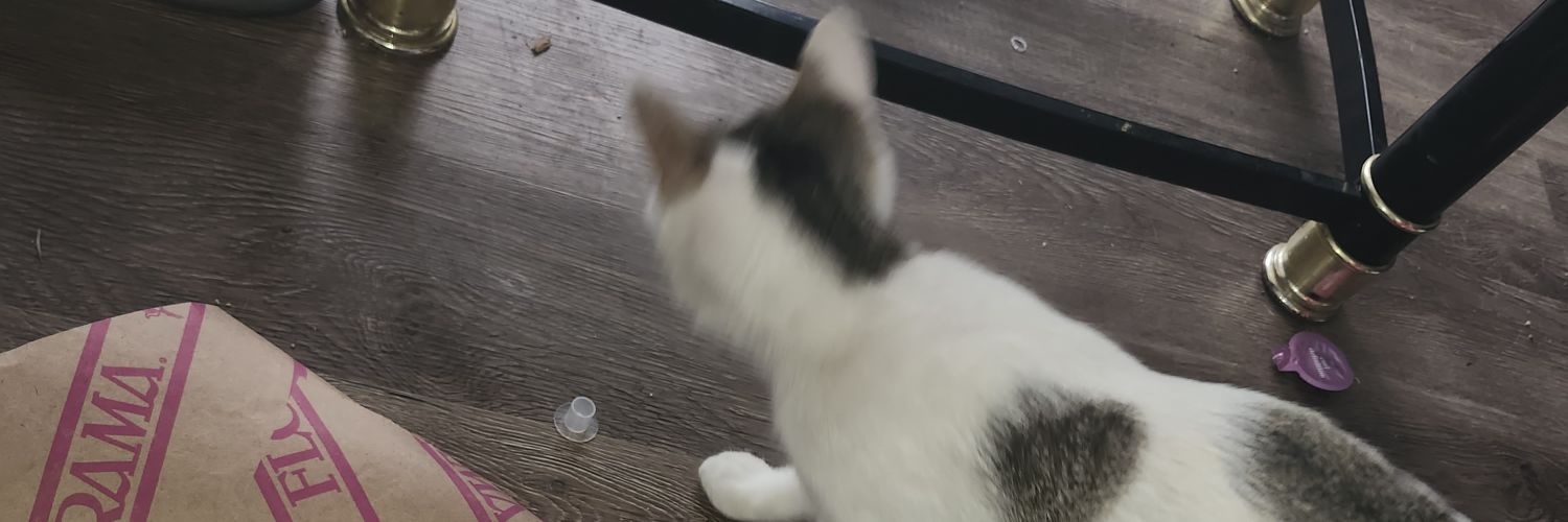 GRSuii's profile banner image