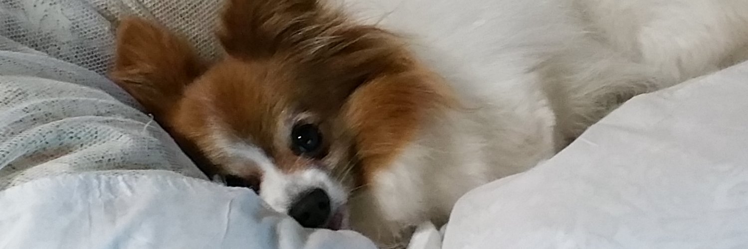 ruu4580's profile banner image