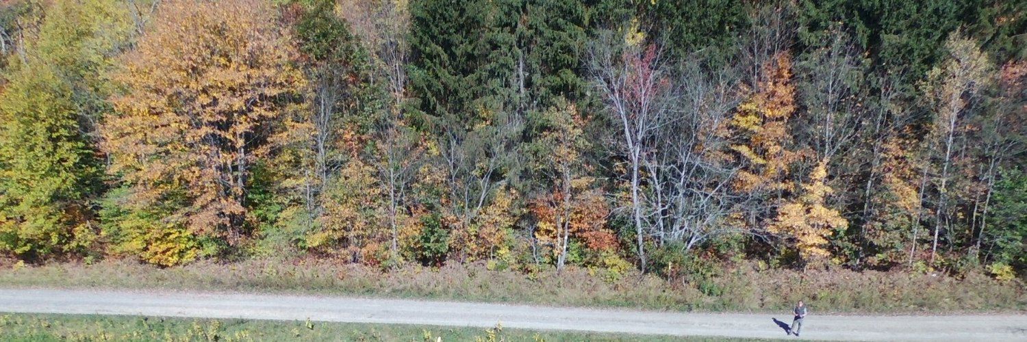 badurek's profile banner image