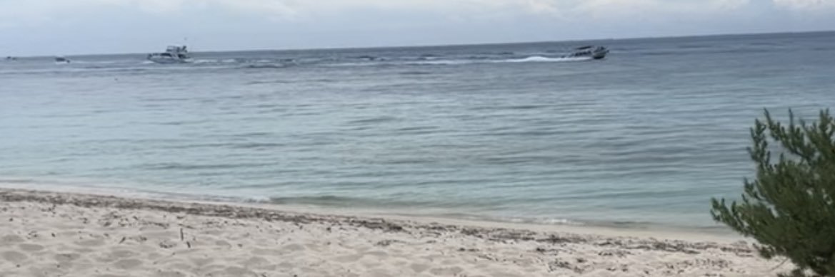Queentea01's profile banner image