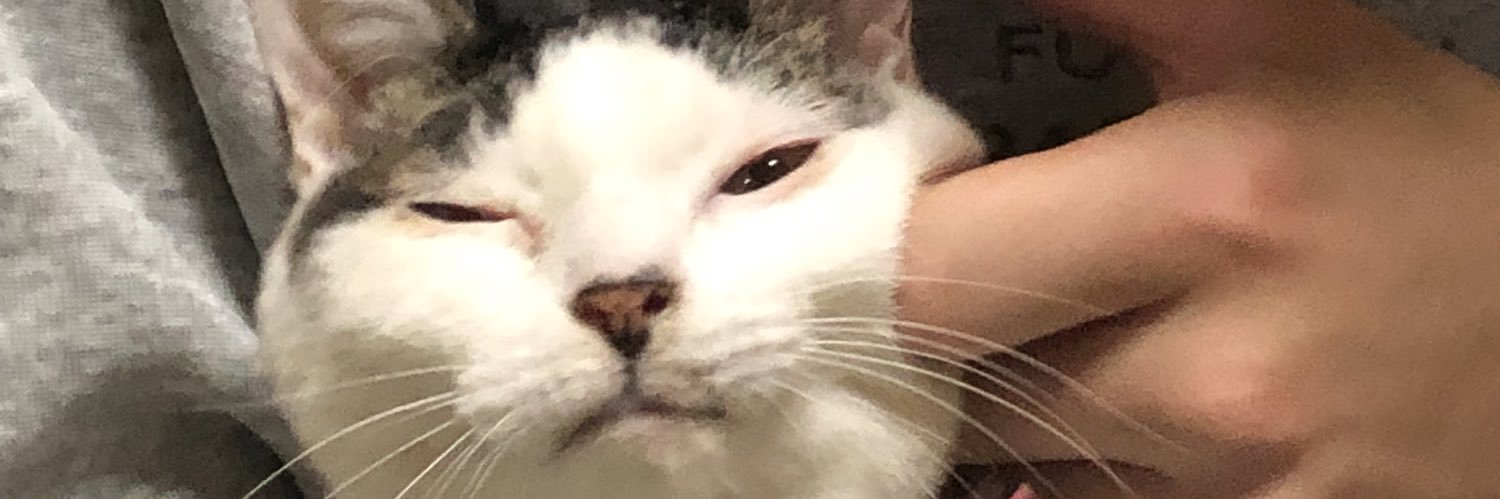 mocchyi08's profile banner image