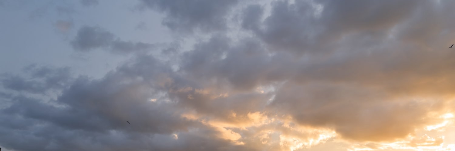 FoXonWave's profile banner image
