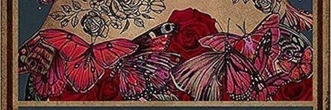 Avrilk1's profile banner image