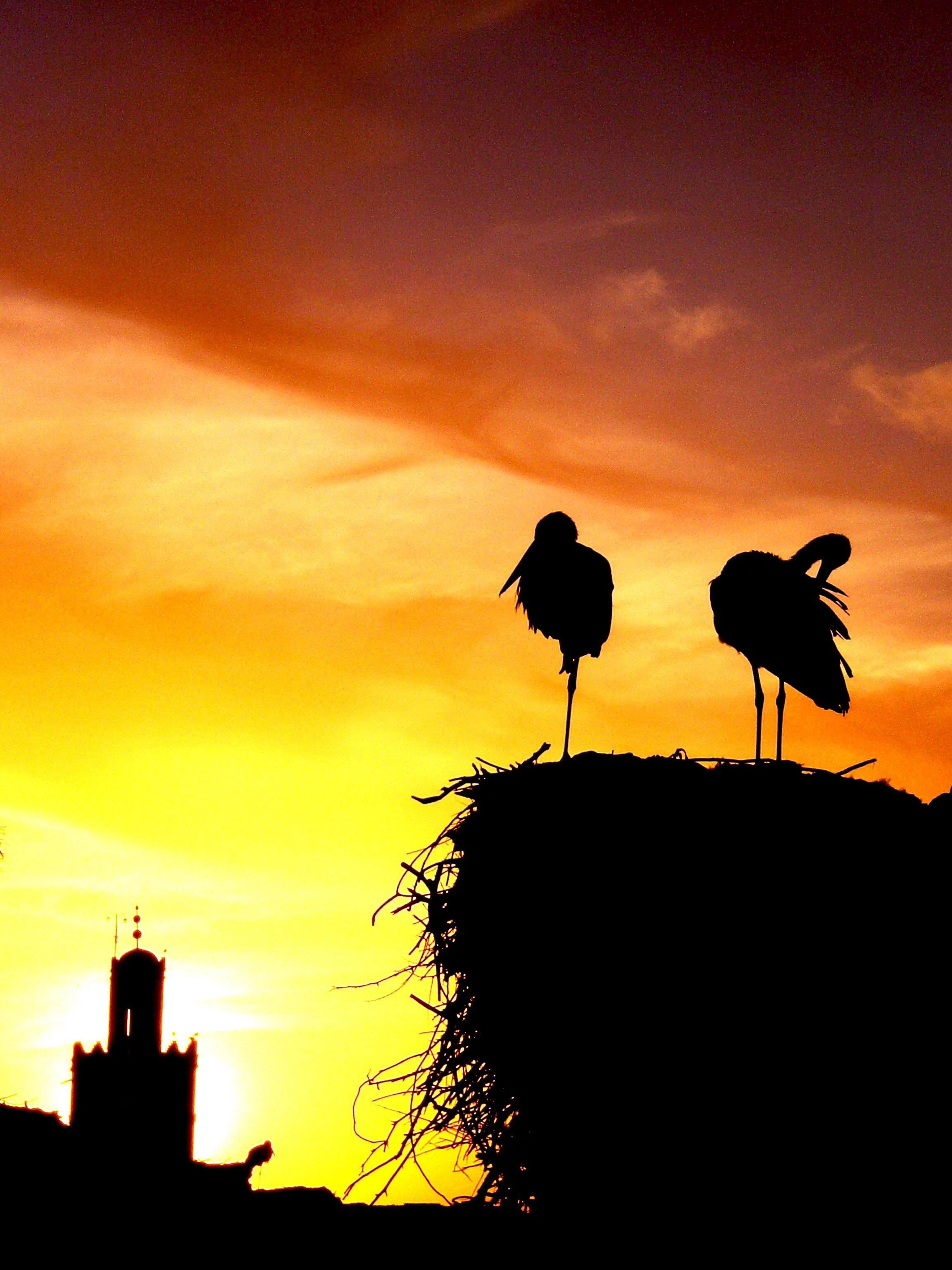 estradapep's profile banner image