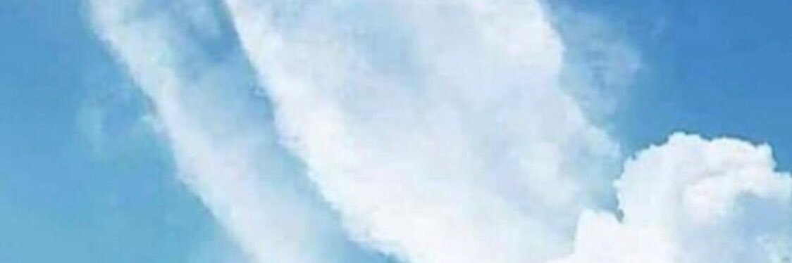 bawazeer8269's profile banner image