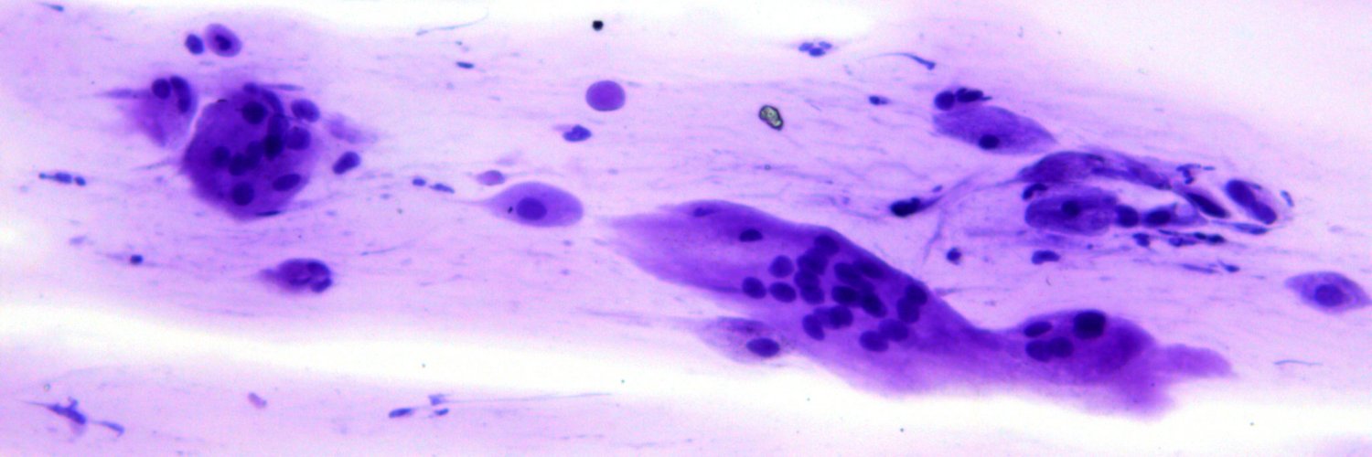 Rosliakova Elena banner