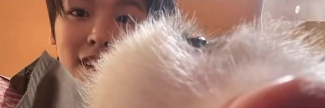 maaat_04's profile banner image