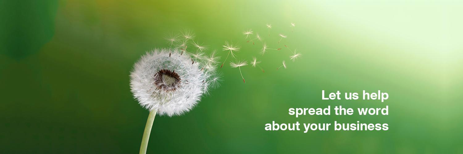 BWiseSwindon's profile banner image