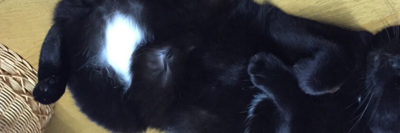 UmichaBoo's profile banner image