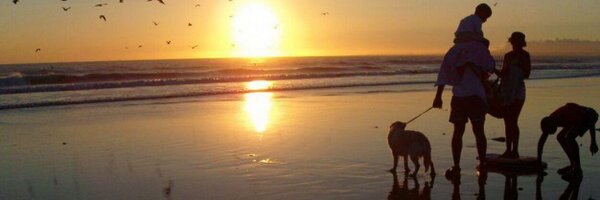 ConcejeroPedro Profile Banner