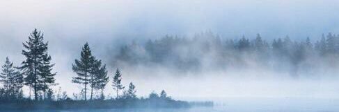 LittleB banner