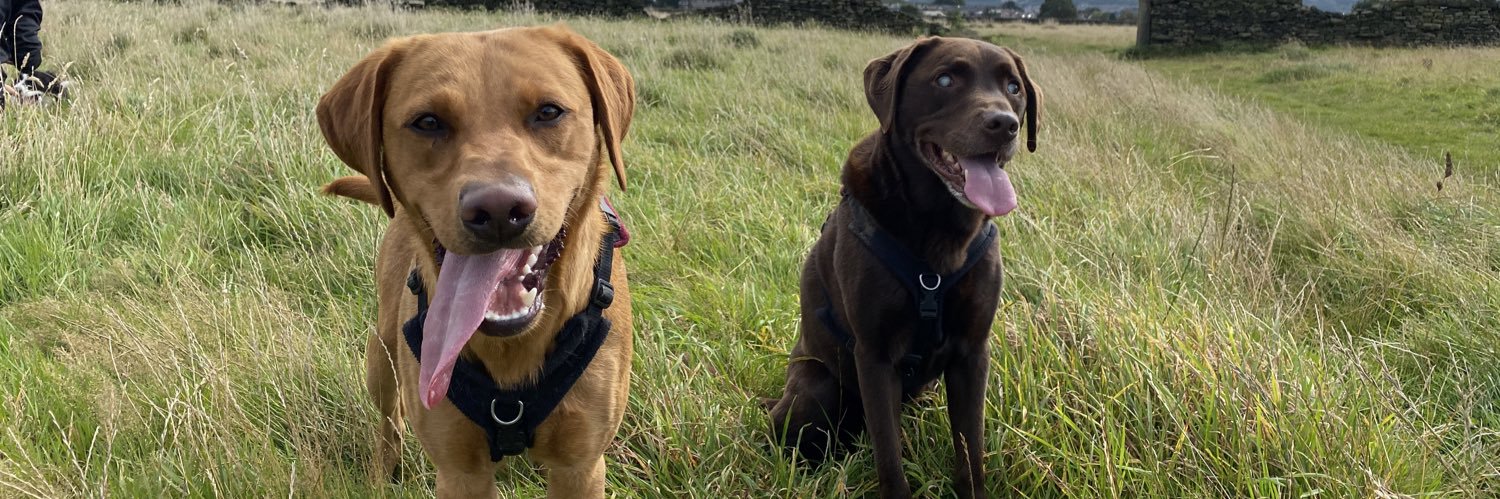 Chris Kendall banner