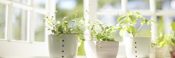 GreenDayII Profile Banner