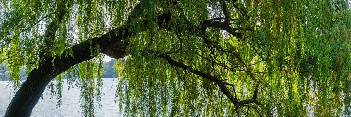 mwhyharding's profile banner image