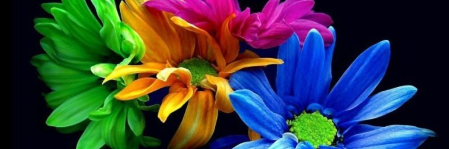 nalalop's profile banner image