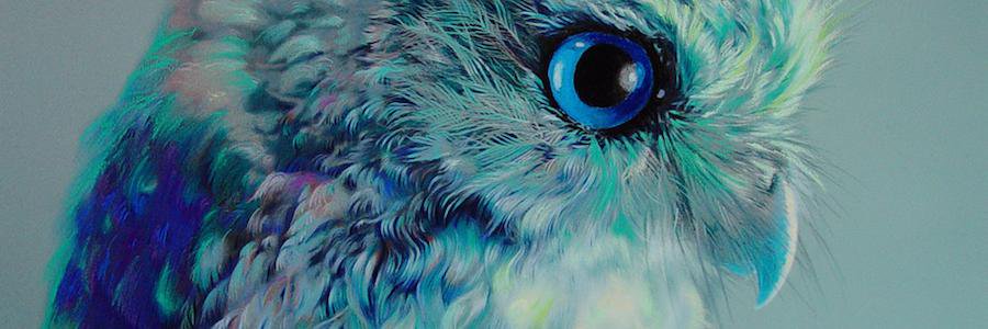 jaby_jablonski's profile banner image