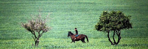 AlenaIsabelle Profile Banner