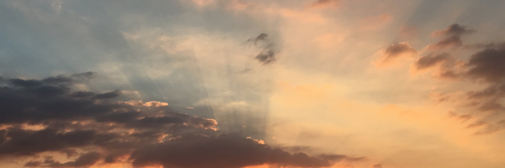 LiliBess's profile banner image
