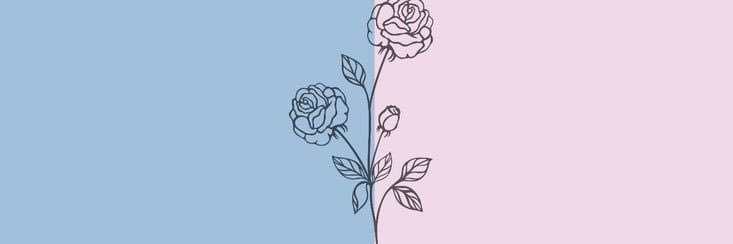 alexxis banner
