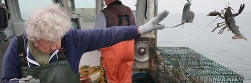 cjvail's profile banner image