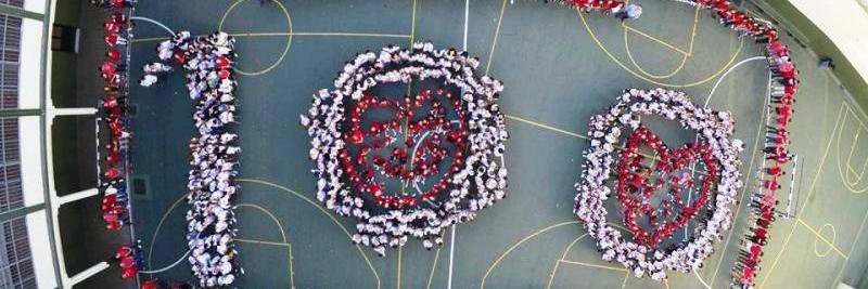 CentenarioCSA's profile banner image