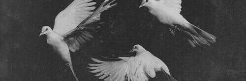 عبدالله؛"، banner
