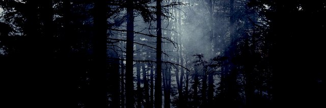 happyrunner's profile banner image