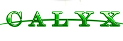 gocalyx's profile banner image