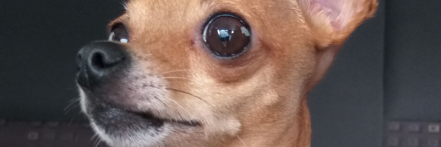 anitanateram's profile banner image