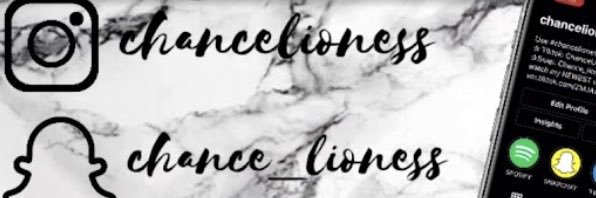 ChanceLioness's profile banner image