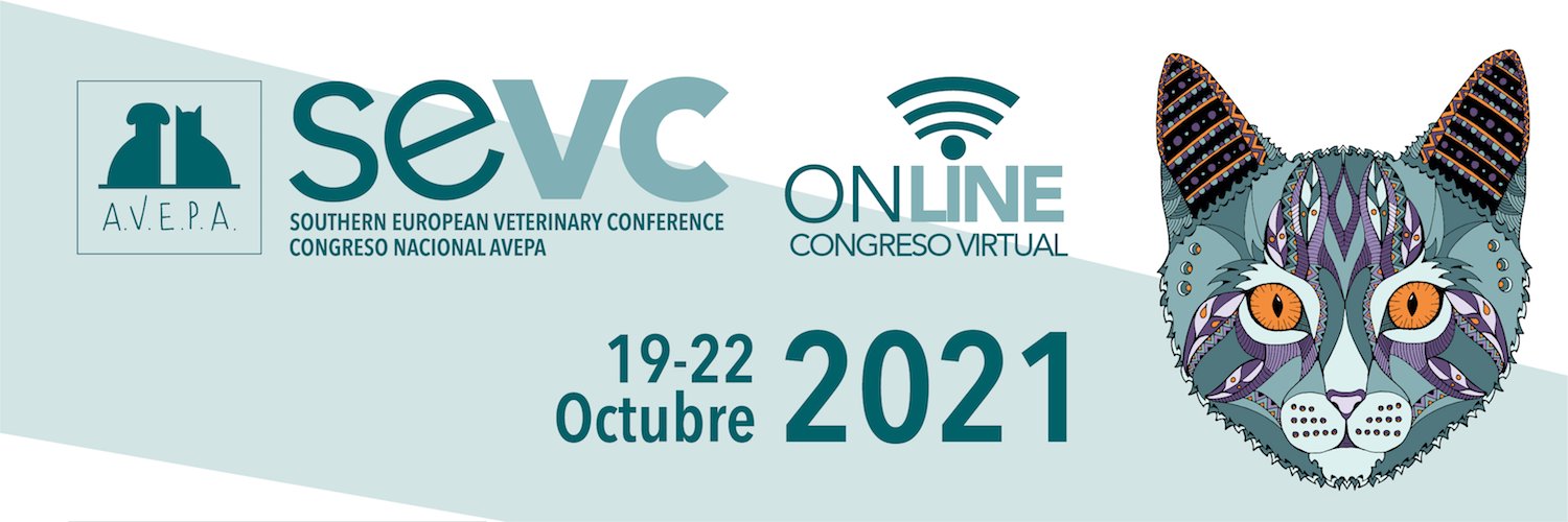 The_SEVC's profile banner image