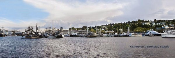 JN_Seattle Profile Banner