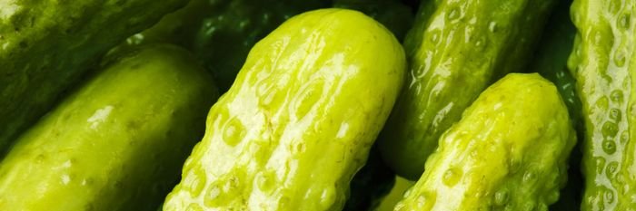 ImPickleFuzz's profile banner image