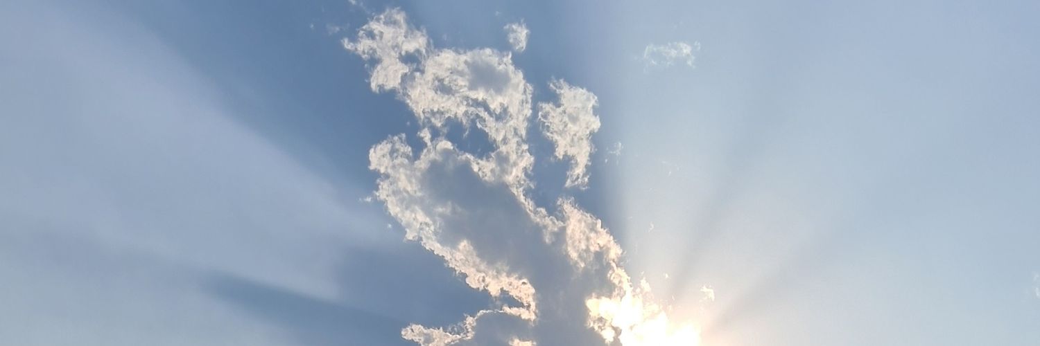 shailexx's profile banner image