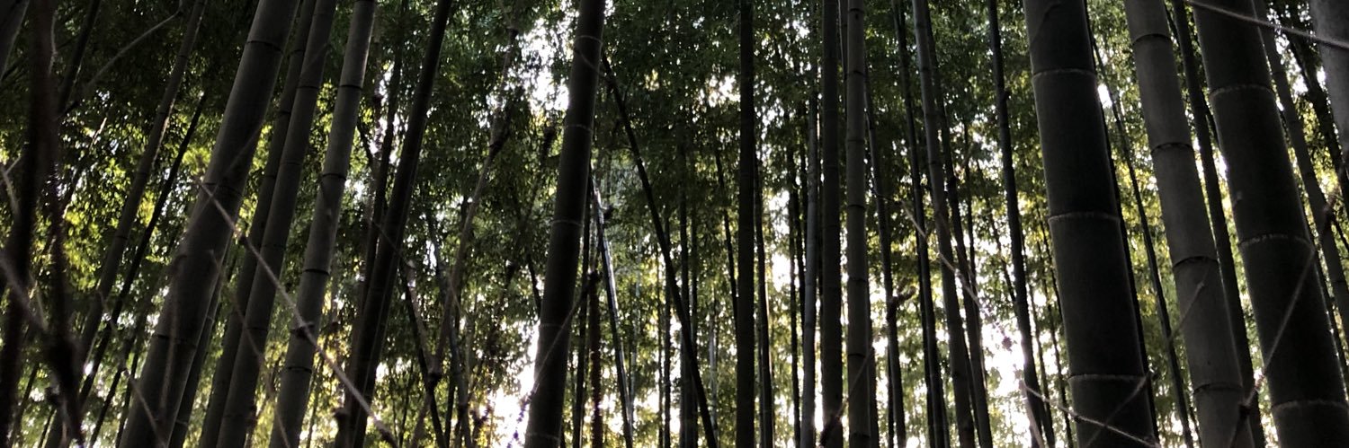 LinkinPadilla's profile banner image