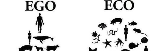 mael_ismael's profile banner image