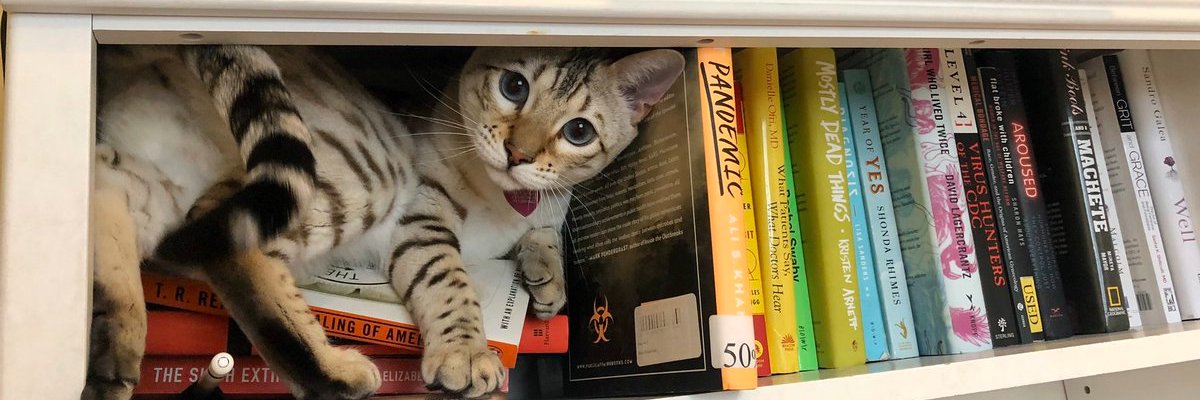 Morgan S. Levy, MD, MPH (she/her) banner