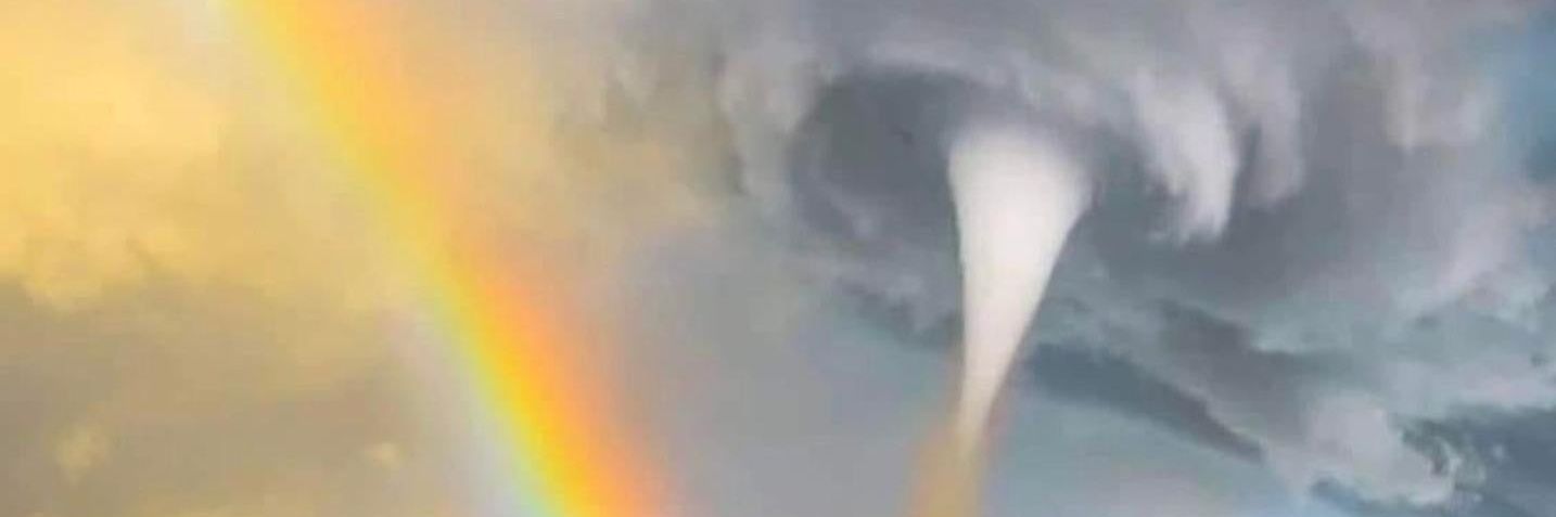 Melissa メリッサ 🌈 banner