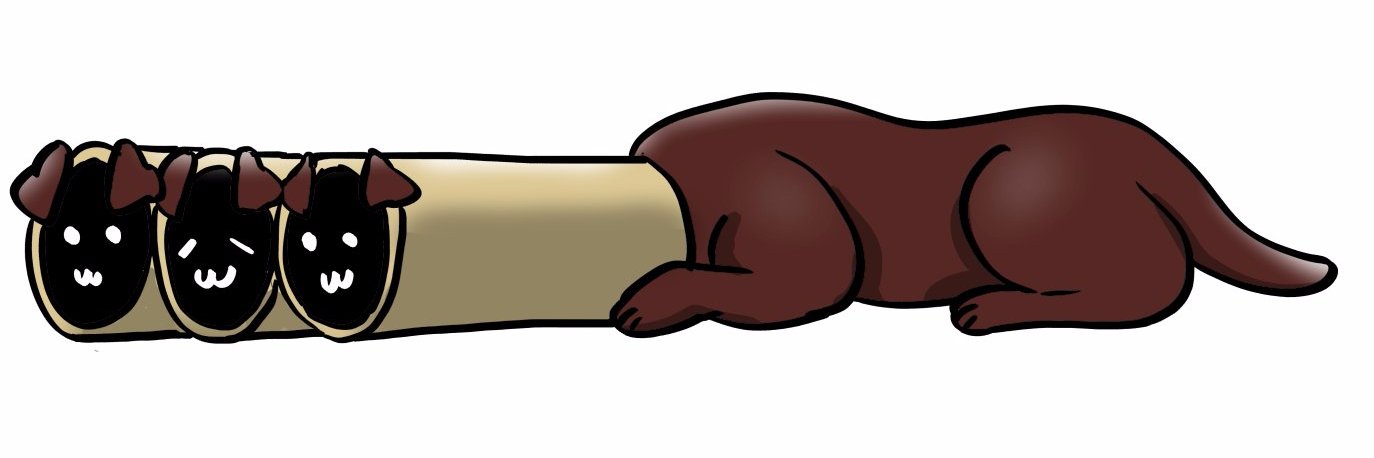 sleet_58's profile banner image