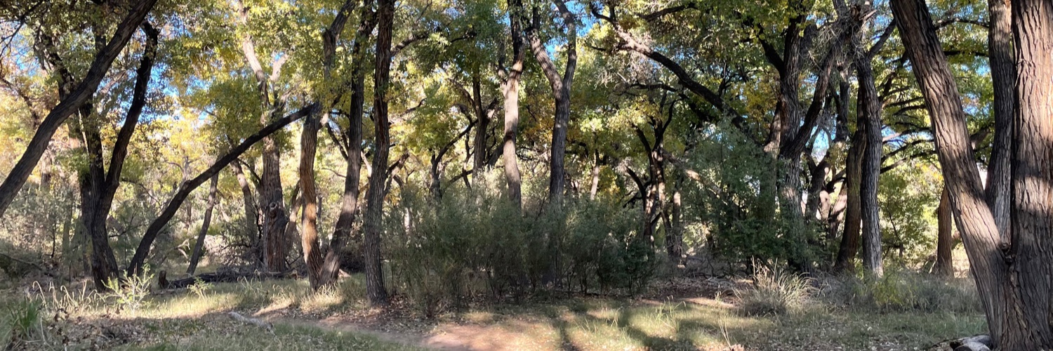 Allen Sumrall banner