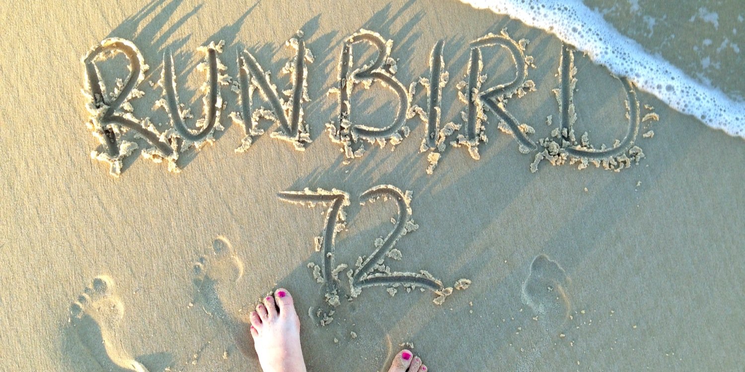 Runbird72's profile banner image